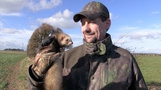 The Shooting Show  windyday ferreting and the British Shooting Show [upl. by Lenhard]