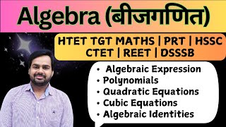 Complete Algebra by Rakesh Chhoker For HTET TGT Maths  HTET PRT  HSSC  CTET  REET  DSSSB [upl. by Llennahc599]