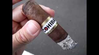 Cohiba Red Dot Dominican Puro Cigar Review [upl. by Enirahtac283]