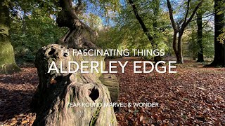 15 Fascinating Things around Alderley Edge [upl. by Elag]