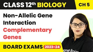 Class 12 Biology Chapter 5  NonAllelic Gene Interaction  Complementary Genes CBSENEET 202223 [upl. by Osi629]