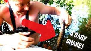 Tracking GREEN ANACONDAS through the AMAZON RAINFOREST [upl. by Ahsinnod346]