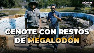 Cenote con restos de Megalodón  Comisaría de Noc Ac [upl. by Niatsirt]