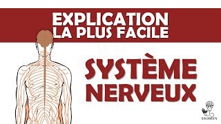 lexplication la plus facile  le Système Nerveux [upl. by Laine]