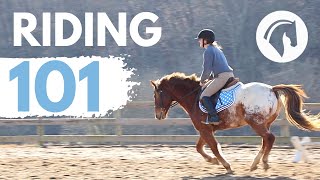 HOW TO RIDE A HORSE EASY BEGINNERS GUIDE [upl. by Arehs588]