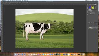 How to insert an image into another image Photoshop  EASY EXPLANATION [upl. by Algar718]