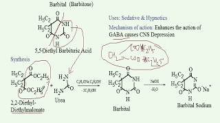 Synthesis of Barbital With reaction mechanisms Medicinal Chemistry GPAT NIPER etc [upl. by Telrahc]