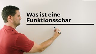 Was ist eine Funktionsschar Teil 1 Parameterfunktion Kurvenschar  Mathe by Daniel Jung [upl. by Airamasor]