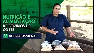 Nutrição e Alimentação de Bovino de Corte  VET Profissional [upl. by Kori]