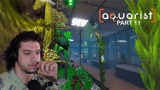 Verkopen amp verzorgen  Aquarist part 11 [upl. by Losse665]