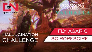 AC Valhalla Fly Agaric Hallucination Challenge  Fire Mushrooms Sciropescire Mystery [upl. by Aivatco]