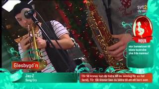 Glesbygdn  Betong Live Musikhjälpen 2010 [upl. by Eiramnna]