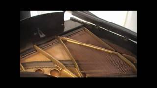 Aeolian Baby Grand Piano [upl. by Ahsoym]