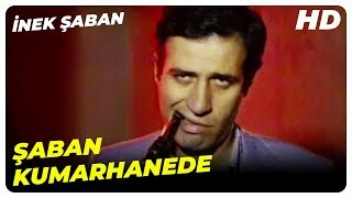 Şaban Kumarhanede  İnek Şaban Eski Türk Filmi [upl. by Asle784]