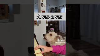 Yo tengo un Perrito que dice Original [upl. by Nnave]