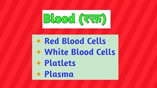 Blood । Blood Components।RBC।WBC। Platlets। Functions of Blood। [upl. by Yartnoed]