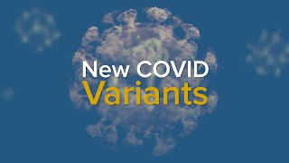 New COVID Variants and a Rise in Cases  What We Know About EG5 Eris and BA286 2023 [upl. by Petrine661]