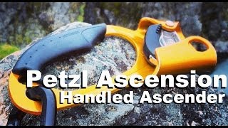 Petzl Ascension Handled Ascender [upl. by Adlez]