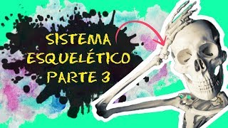 Aula 03 SISTEMA ESQUELÉTICO  PARTE 3  Esqueleto axial crânio coluna vertebral e tórax [upl. by Nosrej190]