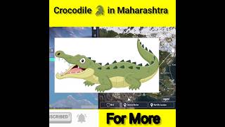 Crocodile 🐊 in Maharashtra India road 😳 ll viralvideo crocodile trending shorts [upl. by Nylecsoj778]