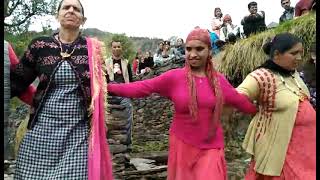 Himachali Pahari culture। pahadi nati । nati song [upl. by Anirahtak]