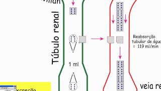 Clearance Renal de Inulina  Parte 1 [upl. by Maidel]