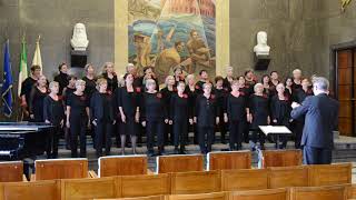 Voices for Peace 2019  Competition  Frauenchor Altstätten Switzerland [upl. by Andromede104]