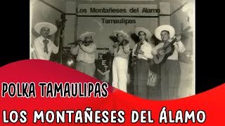 Los Montañeses del Alamo Polka Tamaulipas [upl. by Aniehs]