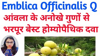 आंवला  Emblica Officinalis Q  आंवला से बनी होम्योपैथिक दवा  Amalaki Q Homeopathic Medicine Uses [upl. by Aisyat]