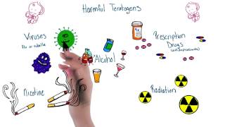 Harmful teratogens  Intro to Psychology [upl. by Nibor768]