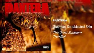 Pantera  Reprise Sandblasted Skin [upl. by Blair301]