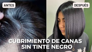 Cubrimiento de Canas  NO TINTE NEGRO [upl. by Yesima]