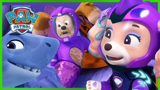 Water Pups redden een Merdinger  PAW Patrol Nederlands [upl. by Linson517]