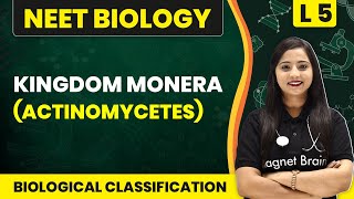 Kingdom Monera Actinomycetes  Biological Classification  L5 Concepts  NEET Biology [upl. by Neelehtak]