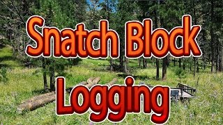 How to use a snatch block for pulling big logs [upl. by Rebmac]