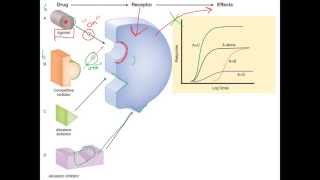 Pharm1 What is Pharmacology Introduction to Pharmacology [upl. by Lory]