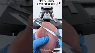 Pork Under The Microscopethistechnology facts microscope technology shoets mrbeast funny [upl. by Moina]