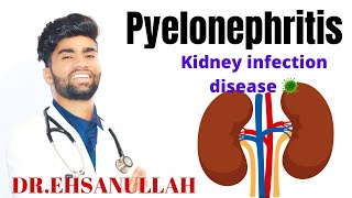 Pyelonephritis kidney infection  agar infection ho to kya kare [upl. by Nivk69]