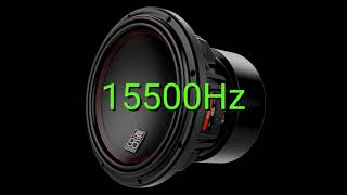 Tone frequency 15500Hz Test your hearing speakersheadphonessubwoofer [upl. by Joliet]