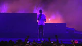 Tyler The Creator  See You Again Live At Camp Flog Gnaw 2018 [upl. by Dyane292]