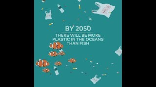 Startling Facts About Plastic Pollution In The Oceans [upl. by Enirok920]