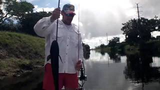 Snakehead Roundup Tournament South Florida [upl. by Mavilia]