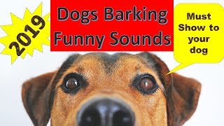 Dogs Barking 2019  Dogs Barking Song [upl. by Alanson]