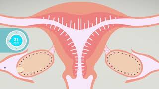 Ovulation fécondation… Mieux comprendre son cycle menstruel [upl. by Menell]