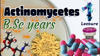 Actinomycetes  Characteristics  Importances  Identification BSc 3st year 🧫💊🔬 [upl. by Iaht]