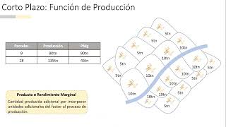 MICROECONOMÍA I  Teoría del Productor a Corto Plazo Rendimientos Marginales Decrecientes [upl. by Uela]