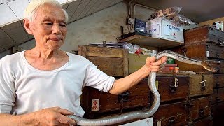 Hong Kongs BEST Street Food Guide SNAKE SOUP  100 Year Old Street Food in HONG KONG POISONOUS [upl. by Mello]