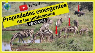 🔍 Propiedades emergentes de las poblaciones  ecología 🍃 [upl. by Nhguaval518]