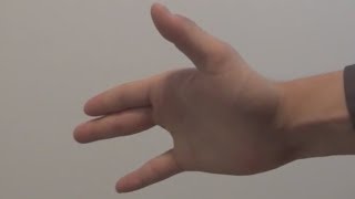 Vanishing Finger Trick [upl. by Tnecniv]