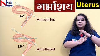 Uterus in Hindi  Female Reproductive System  Nursing Lecture [upl. by Wexler257]